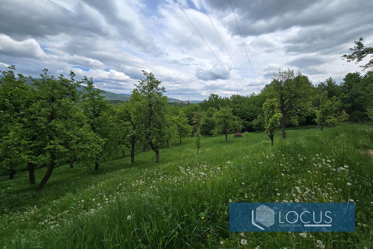13_ Parcela