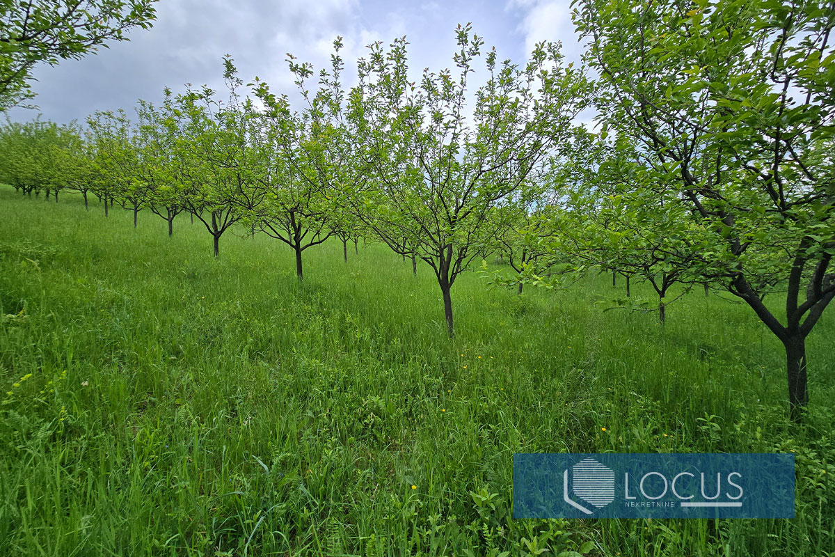 12_ Parcela