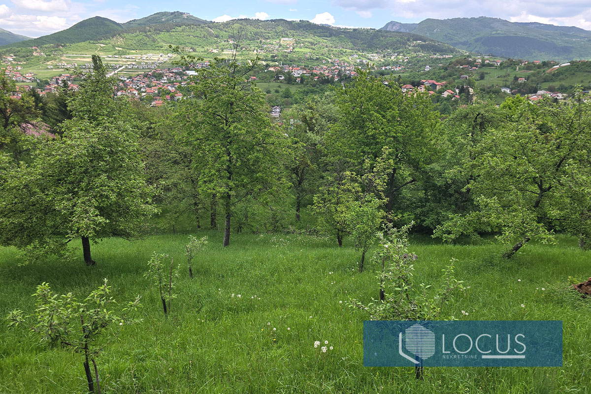 17_ Pogled