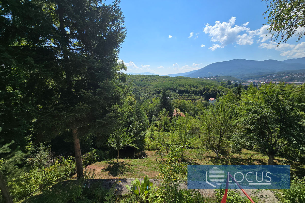16_ Pogled