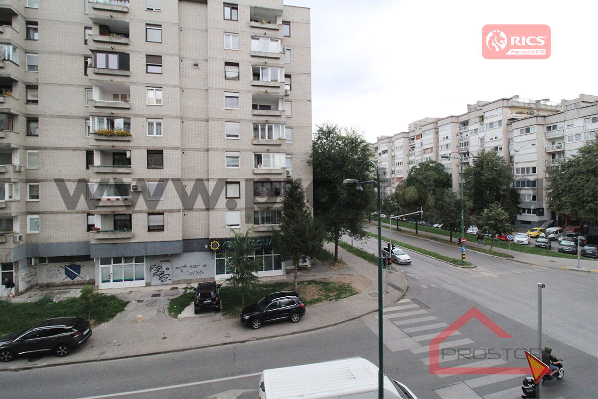 15 Pogled
