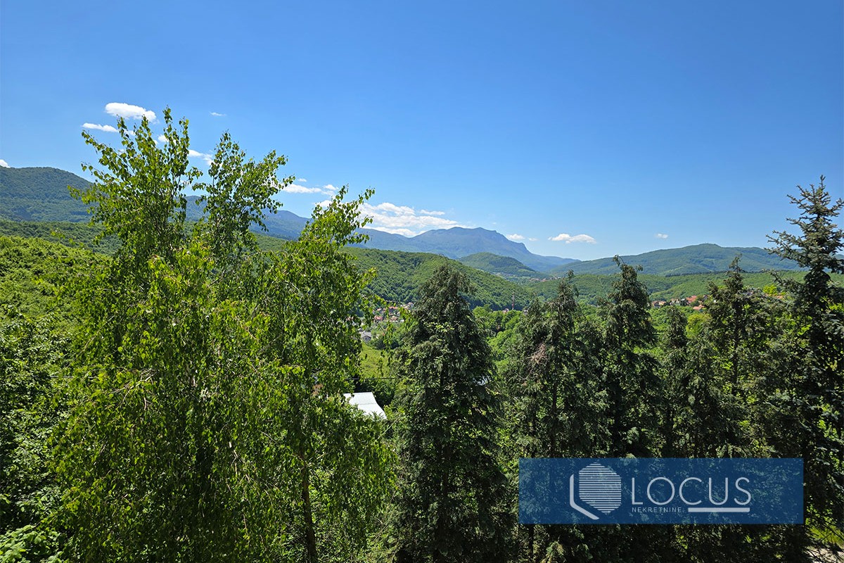 20_ Pogled