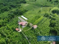 20_ Dron