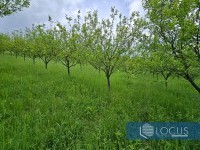 12_ Parcela