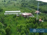 22_ Dron