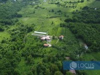 21_ Dron