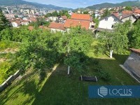 13_ Pogled