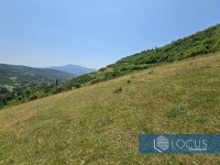 7_ Parcela