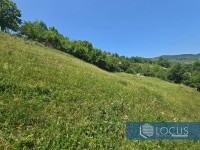 15_ Parcela