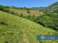 10_ Parcela