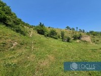 3_ Parcela