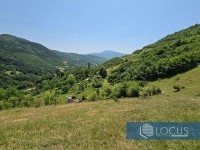 6_ Parcela