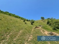 5_ Parcela