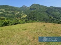 8_ Parcela