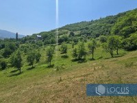 13_ Parcela