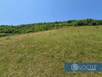 9_ Parcela