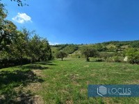 8_ Parcela