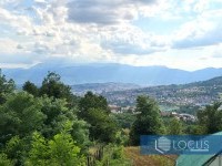 11_ Pogled