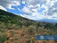 8_ Parcela
