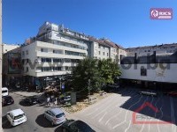 11 Pogled