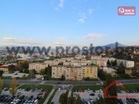 12 Pogled