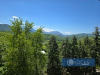 20_ Pogled