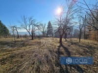 8_ dvorište, voćnjak