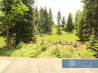 15_ pogled