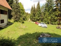 16_ dvorište