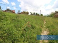 6_ Parcela