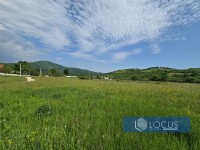 3_ Parcela