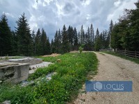 10_ Parcela
