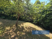 7_ Parcela