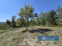 8_ Parcela