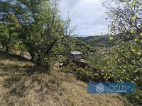 8_ Parcela