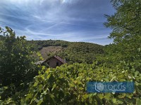 13_ Pogled
