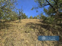 6_ Parcela