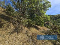 10_ Parcela