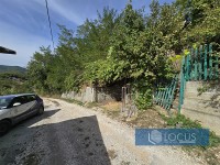 15_ Prilaz