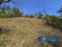 7_ Parcela