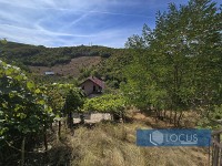 12_ Parcela