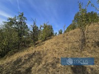 11_ Parcela