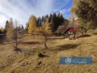 17-Dvorište-sl_-4