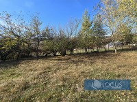 14 Dvorište
