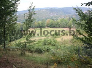 Land near the source of the river Mošćanica, 15,262 sqm with a beautiful view and clean air. Glavica, Faletici, Stari Grad